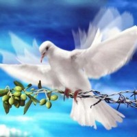 pasqua