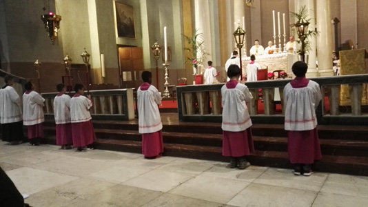 d-pasqua-10