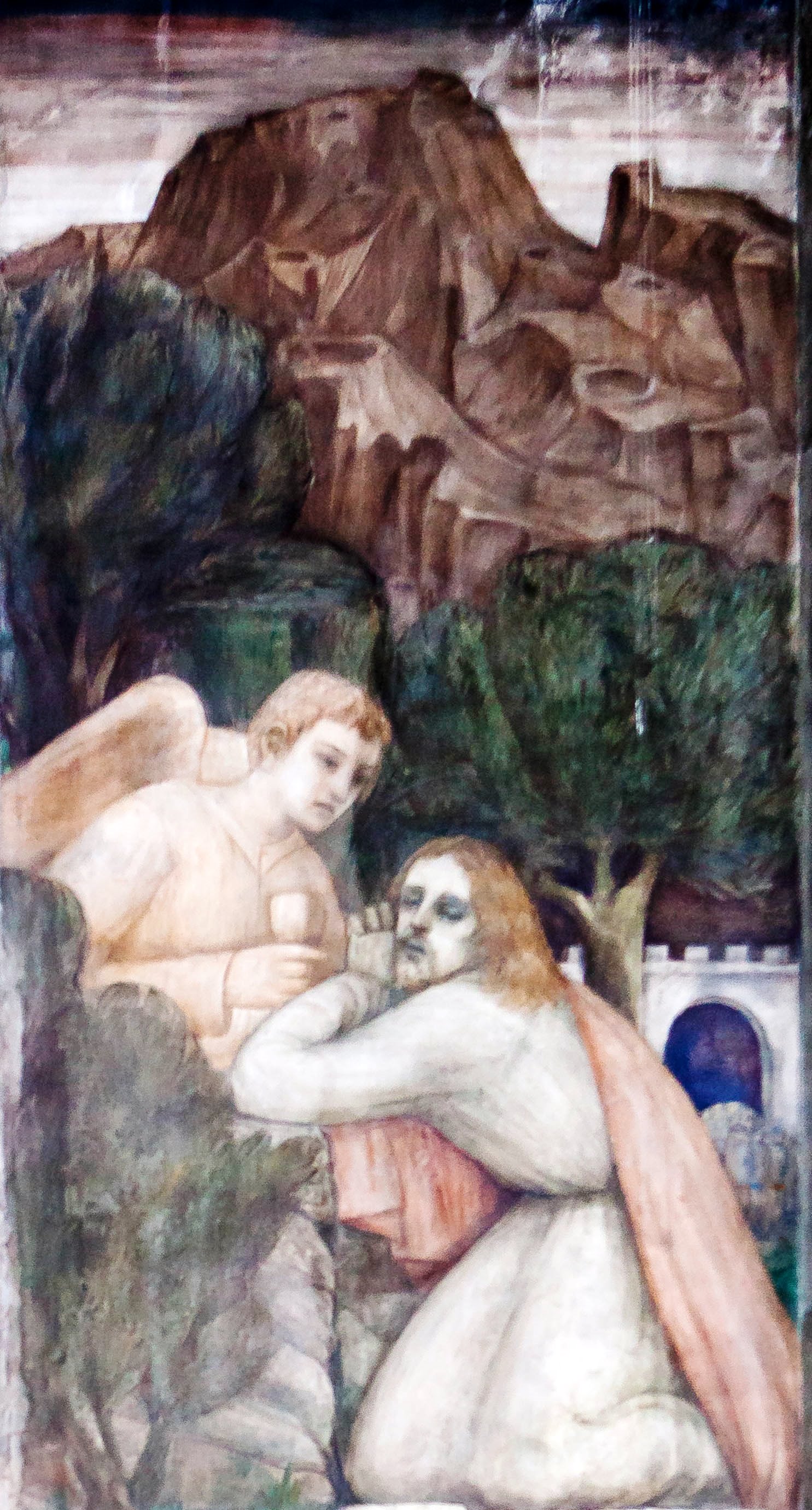 orto ulivi